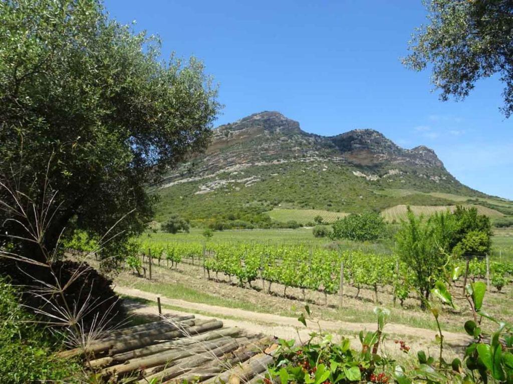 Jardin Et 2 Chambres Centre St Florent Saint-Florent  Buitenkant foto